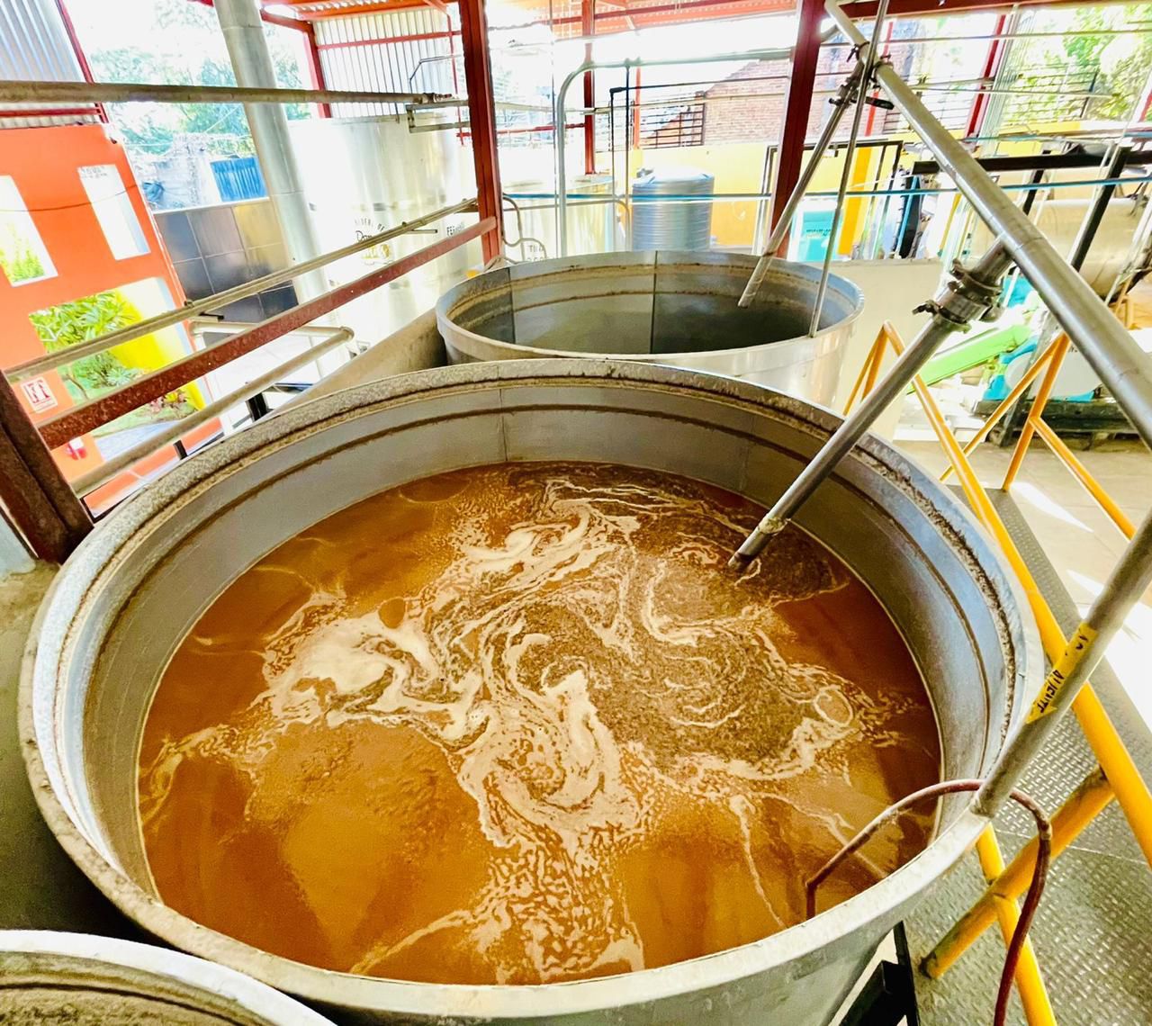 Proceso-Fermentacion-Tequila